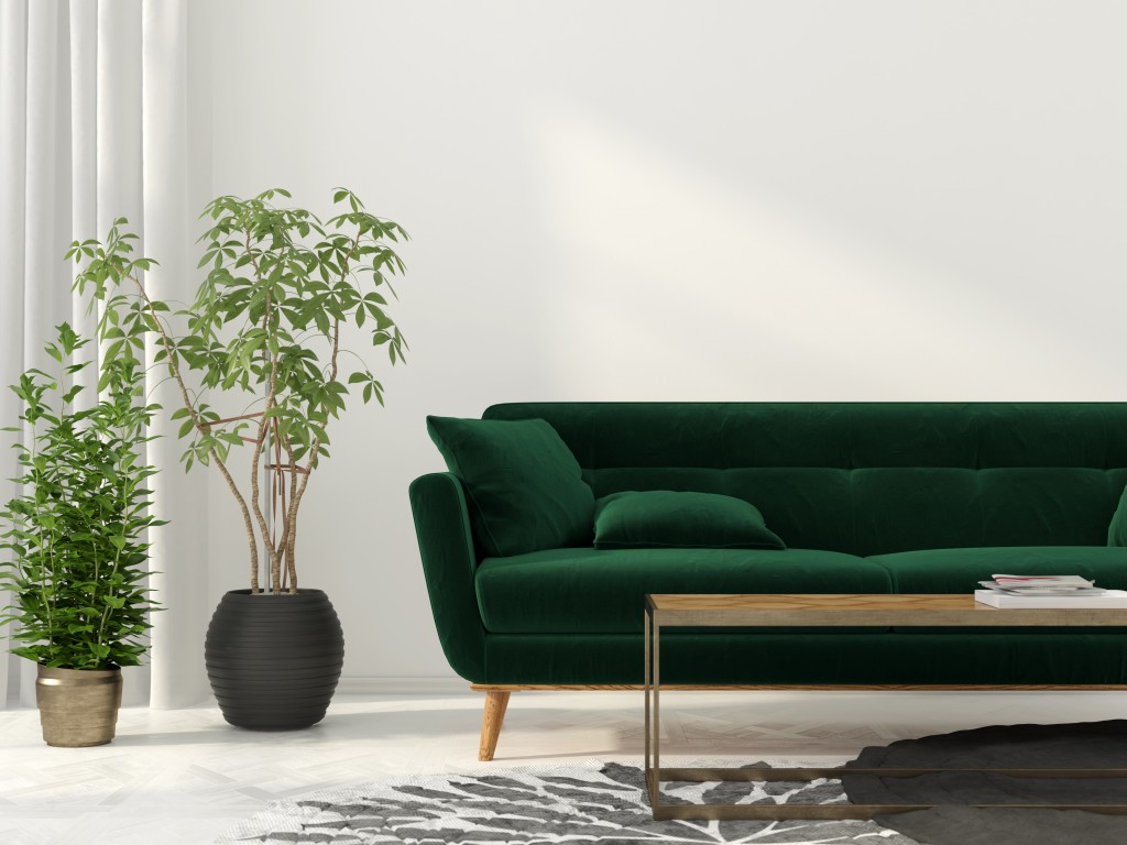 Interior Design - Green Room