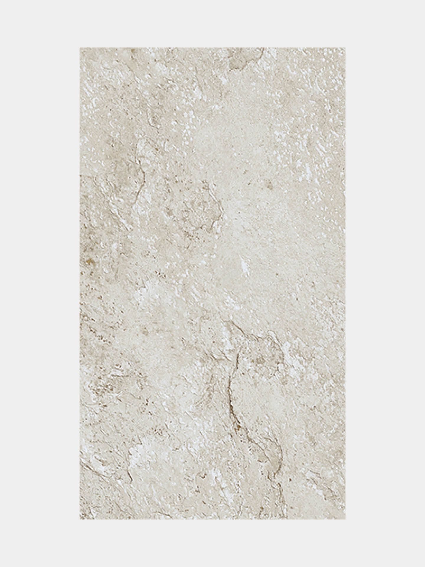 PORCELANOSA IMAGE MIRAGE SILVER 25x44.4cm 100242614